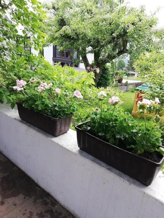 Bernsbach Am Balkon Des Erzgebirges 아파트 외부 사진